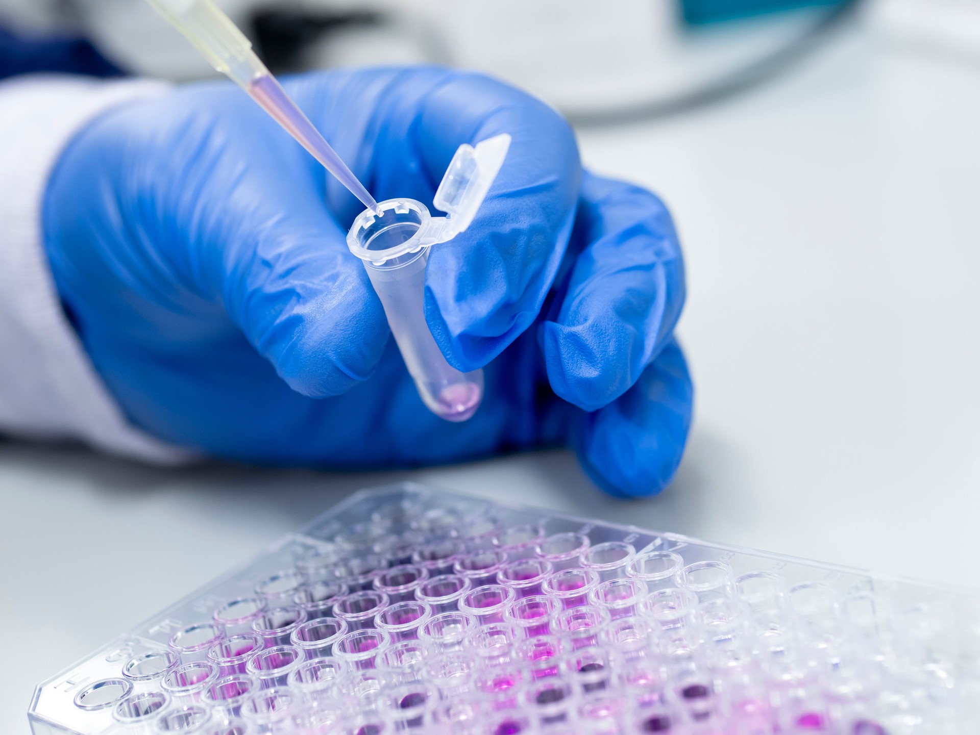 Scientist working on a 96 well micro plate and pipettes