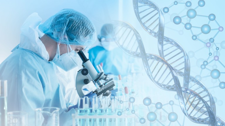 Comprehensive Testing Services at Adventus Labs USA